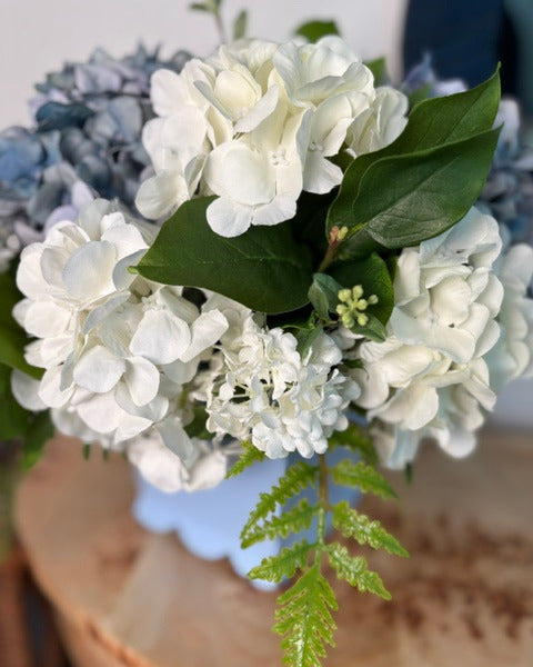 Blue and White Hydrangea in Blue Scalloped Cache Pot