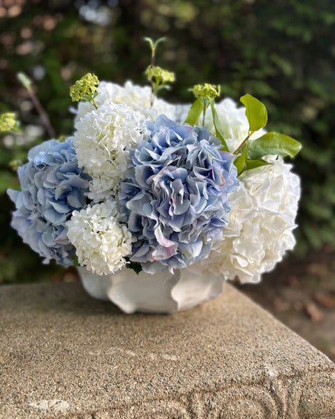 Blue and White Hydrangea in White Pleated Pot