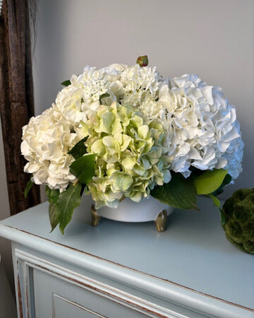 Ivory and Green Hydrangea in White Round Container with Gold Feet