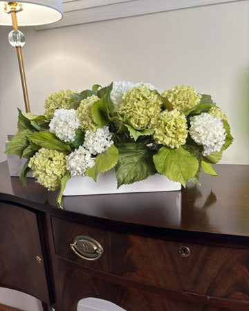 White & Green Hydrangea in White Rectangular Pot