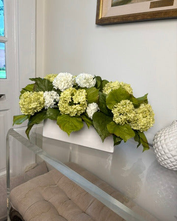 White & Green Hydrangea in White Rectangular Pot
