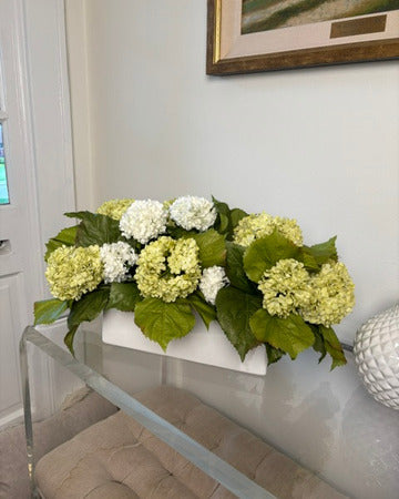 White & Green Hydrangea in White Rectangular Pot