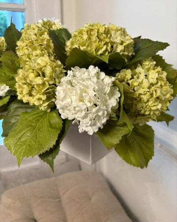 White & Green Hydrangea in White Rectangular Pot