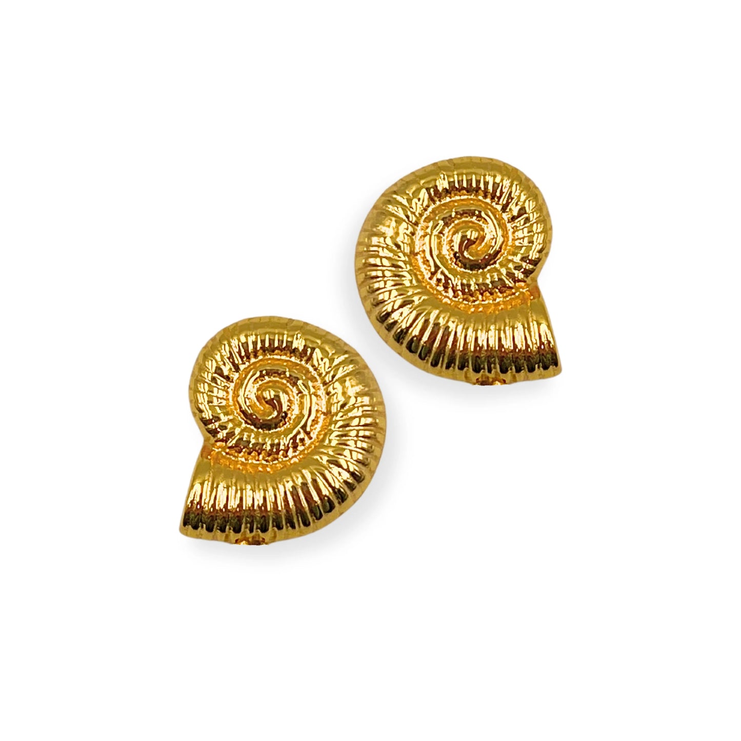 Seashell Stud Earrings
